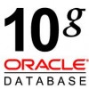 oracle 10G 标准版 25用户 厂家正版授权
