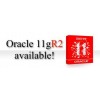 oracle 11G 标准版 25用户 厂家正版授权