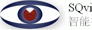 SQ-System视频分析服务器