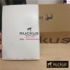 美国Ruckus优科901-H500-WW00室内无线AP