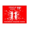ORACLE Oracle 11g 企业版