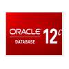 Oracle数据库 Database 12c 企业版