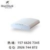 ruckus R310 优科901-R310-WW02