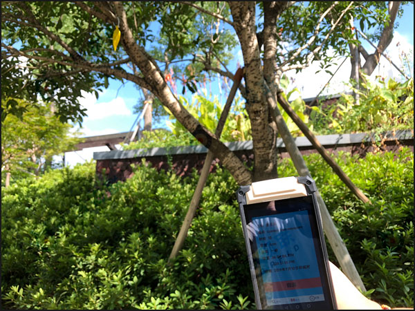 探感物联RFID树木生长追溯系统