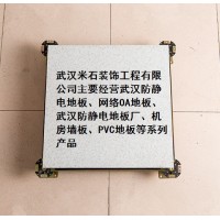 武汉方信防静电地板、网络OA地板、武汉防静电地板厂、机房墙板