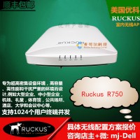 美国优科r750复杂干扰环境专用无线AP Ruckus R750