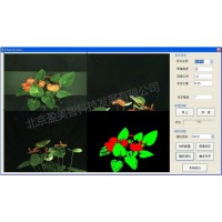 图像处理视觉检测软件定制：花卉评级系统软件